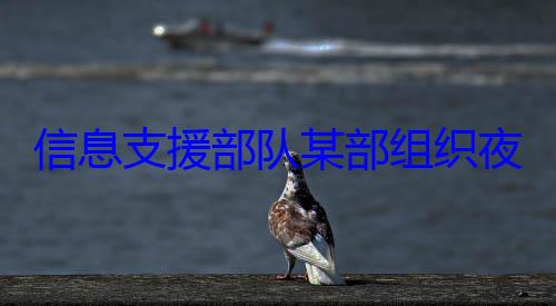 队某部组织练图夜间修理训信息支援部